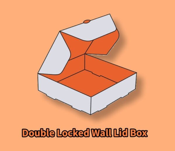 Double Locked Wall Lid Box