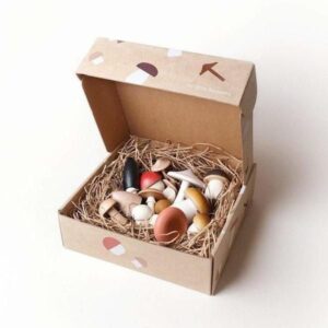 Mushroom Boxes