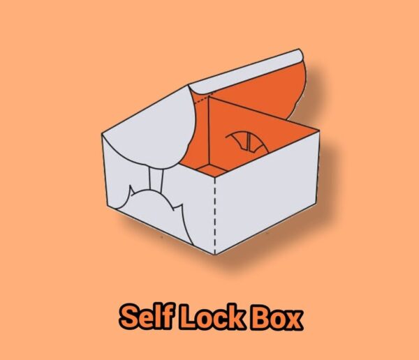 Self Lock Box