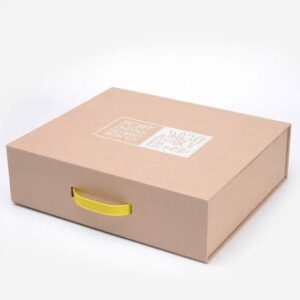 Suitcase Boxes